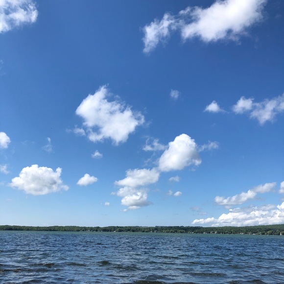 Meet your Posher, L - Picture 1 of 1